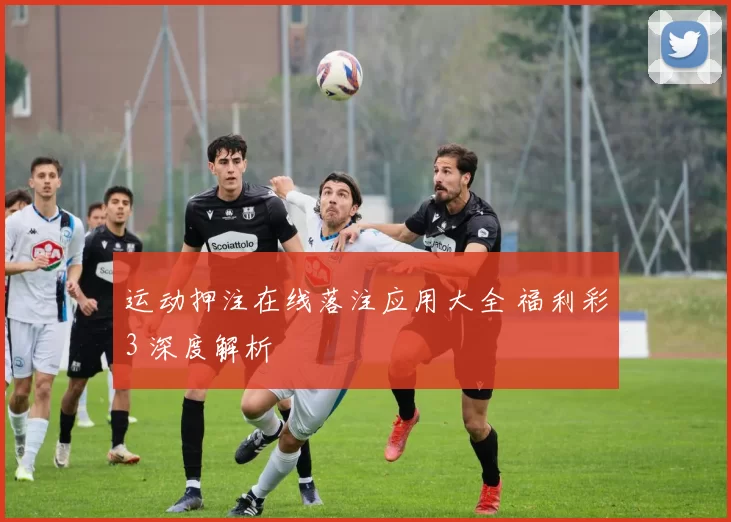 运动押注在线落注应用大全 福利彩3 深度解析