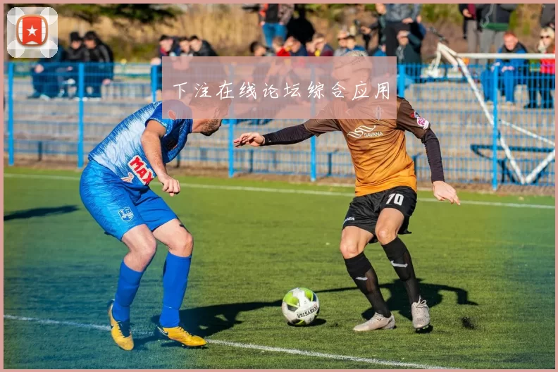 下注在线论坛综合应用