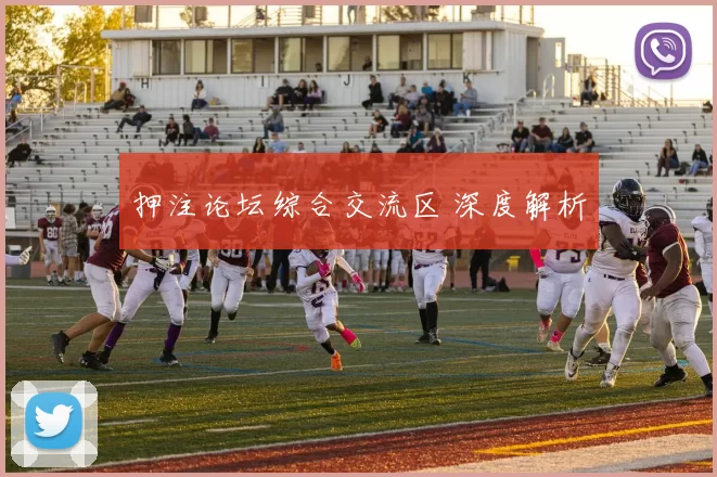 押注论坛综合交流区 深度解析