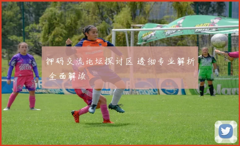 押码交流论坛探讨区 透彻专业解析 全面解读