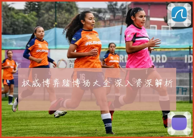 权威博弈赌博场大全 深入资深解析