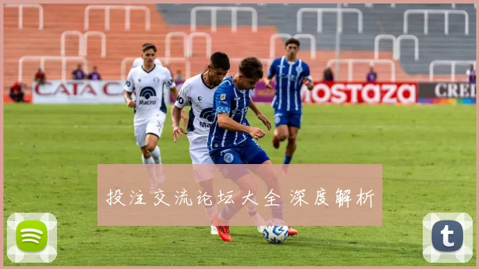 投注交流论坛大全 深度解析