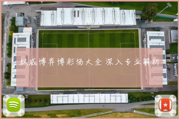 权威博弈博彩场大全 深入专业解析