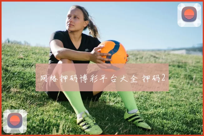 网络押码博彩平台大全 押码2