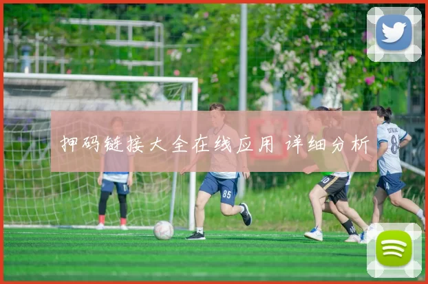 押码链接大全在线应用 详细分析