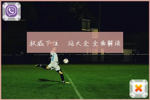 权威下注網站大全 全面解读