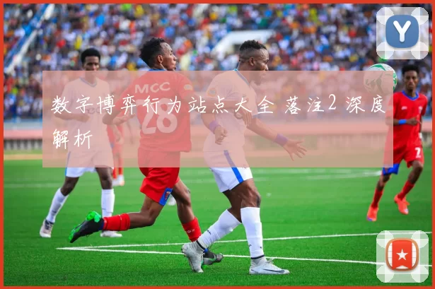 数字博弈行为站点大全 落注2 深度解析