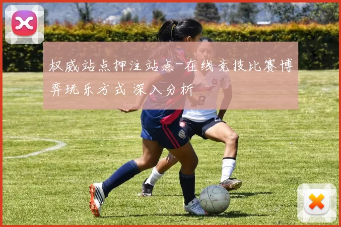 权威站点押注站点-在线竞技比赛博弈玩乐方式 深入分析