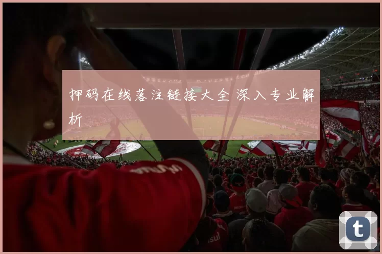 押码在线落注链接大全 深入专业解析