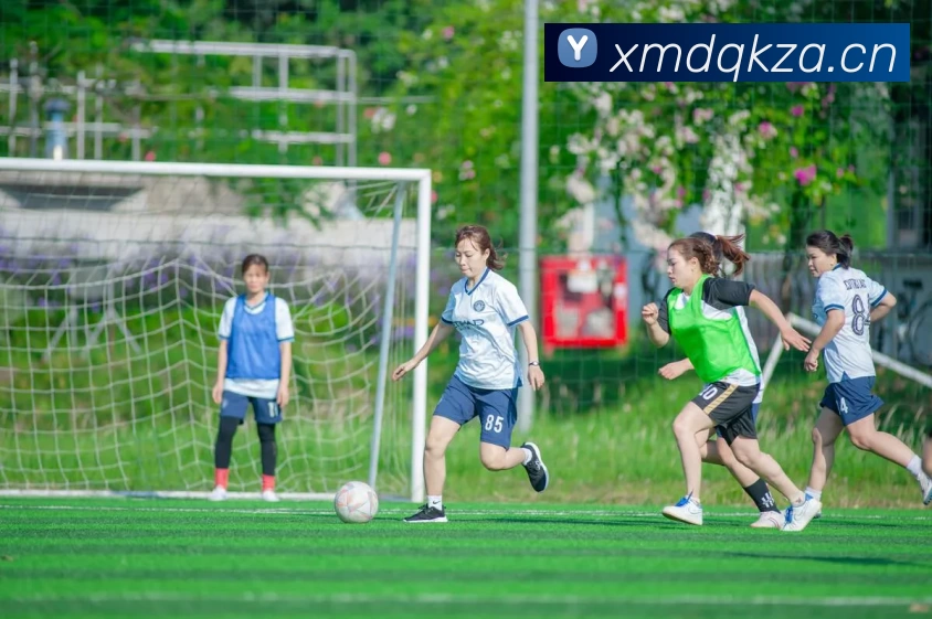 必赢亚洲平台生态图